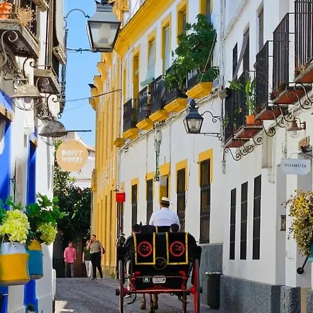 Apartment Petit Mansion Juderia Cordoba